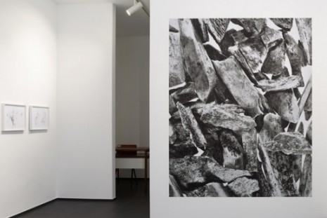 Peter Piller, , Galerie Gisela Capitain