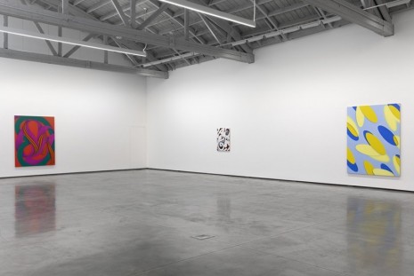 Lesley Vance, A Zebra Races Counterclockwise, David Kordansky Gallery