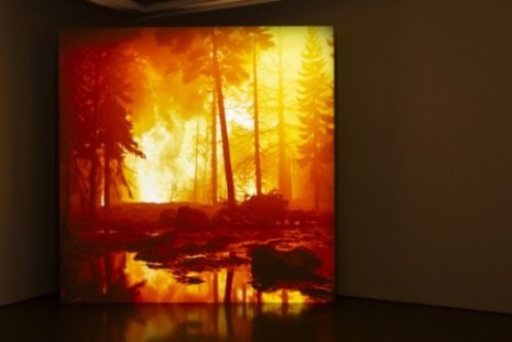 David Claerbout, Wildfire, Pedro Cera