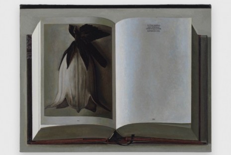 Liu Ye, The Book and the Flower, David Zwirner