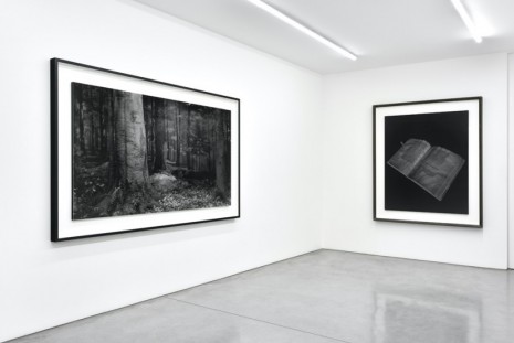 Hiroshi Sugimoto, , Marian Goodman Gallery
