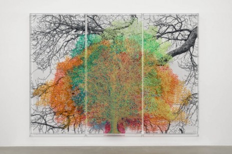Charles Gaines, Multiples of Nature, Trees and Faces, Hauser & Wirth