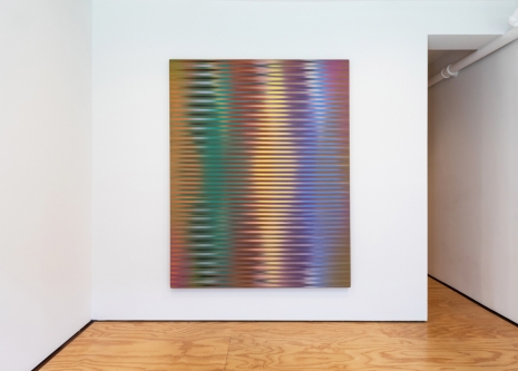 Roy Colmer, , Lisson Gallery