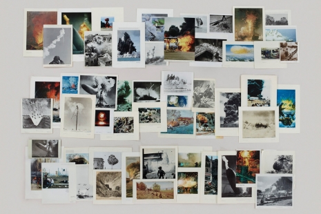 Taryn Simon, The Color of a Flea’s Eye: The Picture Collection, Gagosian