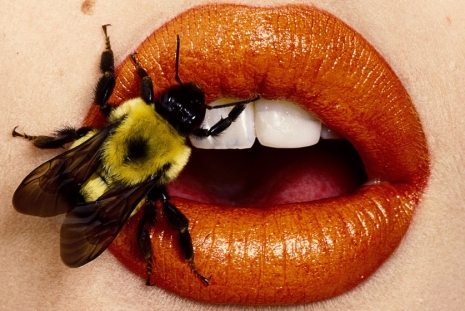 Irving Penn, in collaboration with The Irving Penn Foundation, Cardi Gallery