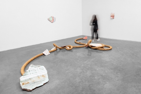 Mariana Castillo Deball, Feathered Changes, Serpent Disappearances, kurimanzutto