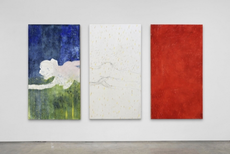 Pier Paolo Calzolari, Painting as a Butterfly, Marianne Boesky Gallery