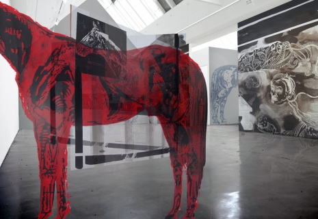 Johnny Miller, Ghost Horse, Galerie Barbara Thumm