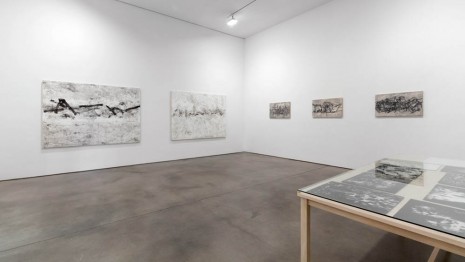 Beatrice Caracciolo, Battaglia, Paula Cooper Gallery