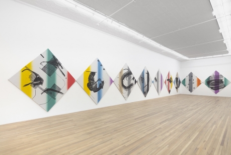 Cheyney Thompson, Intervals and Displacements, Andrew Kreps Gallery
