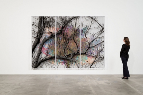 Charles Gaines, Southern Trees, Hauser & Wirth