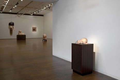 Patricia Piccinini, I have spread my dreams under your feet, Roslyn Oxley9 Gallery