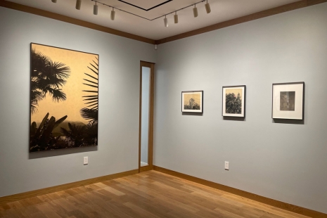 Bruno V. Roels, Looking for Paradise, Howard Greenberg Gallery