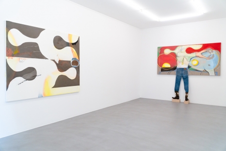 Magnus Plessen, lucid density  , Mai 36 Galerie