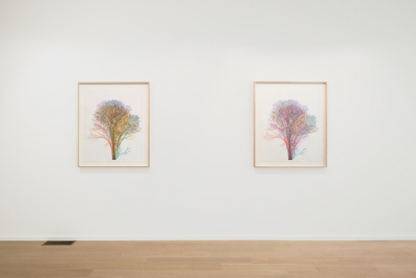 Charles Gaines, Numbers and Trees: The Arizona Watercolors, Hauser & Wirth
