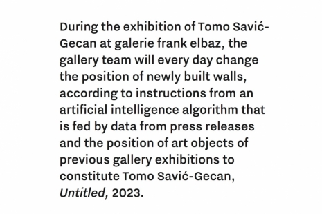 Tomo Savić-Gecan, Untitled, 2023, galerie frank elbaz