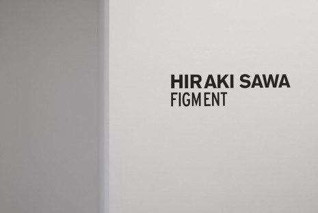 Hiraki Sawa, Figment, James Cohan Gallery