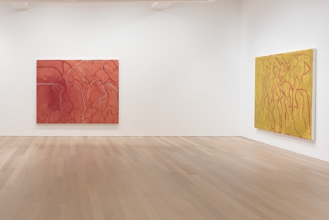 Brice Marden, Let the painting make you, Gagosian