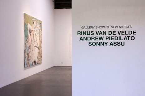 Rinus Van de Velde, Andrew Piedilato, Sonny Assu, Gallery Show of New Artists, Patrick Painter Inc.
