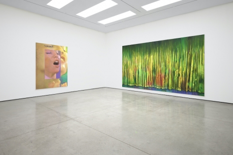 Louise Giovanelli, Here on Earth, White Cube