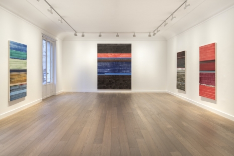 Juan Uslé, Viento sur, Galerie Lelong & Co.