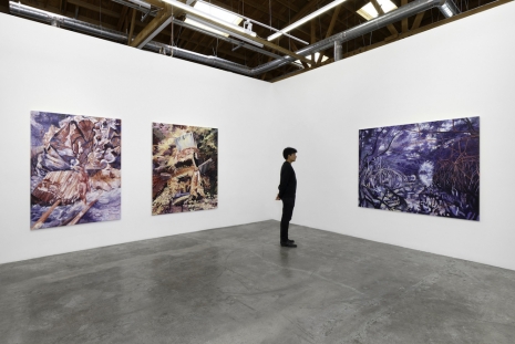 Melinda Braathen, Atmosphere, Baert Gallery