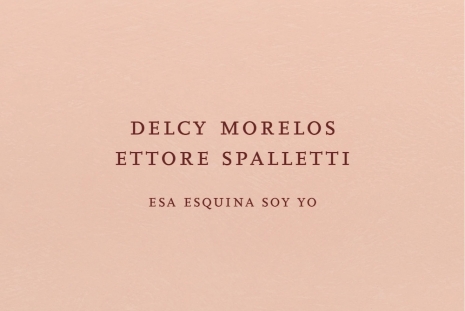 Delcy Morelos, Ettore Spalletti, Esa esquina soy yo, Marian Goodman Gallery