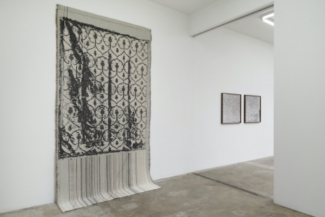Lisa Oppenheim, At the Lace Shop and other Light Drawings , Tanya Bonakdar Gallery