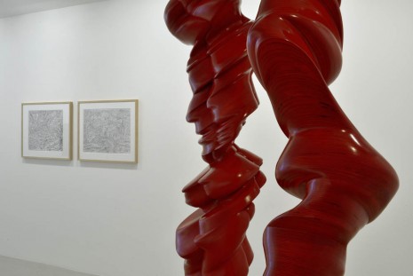 Tony Cragg, Accurate Figure, Galerie Thaddaeus Ropac