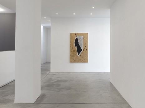 Seth Price, , Galerie Gisela Capitain