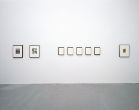 John Stezaker, Nude and Landscape, Petzel Gallery
