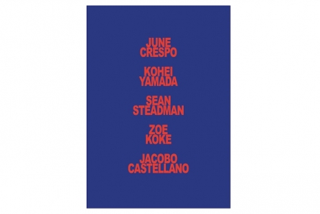 June Crespo, Jacobo Castellano, Kohei Yamada, Sean Steadman, Zoe Koke, Everywhere It Goes, Mai 36 Galerie