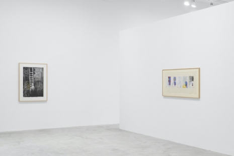 Jasper Johns, Drawings 1982–2021, Matthew Marks Gallery