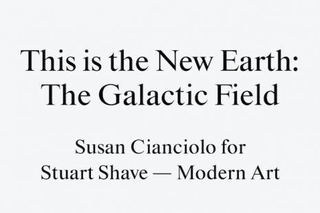 Susan Cianciolo, This is the New Earth: The Galactic Field, Modern Art