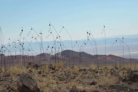 Christian Boltanski, Animitas (Chili), Marian Goodman Gallery