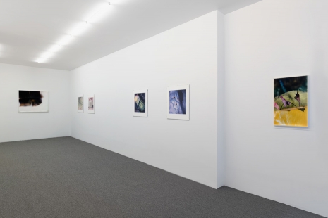 Yair Oelbaum, Teiku, Galerie Buchholz