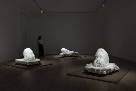 Jaume Plensa, 5 rêves, 5 désirs, Galerie Lelong