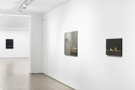 Chang Ya Chin, Finding Ewha, Perrotin