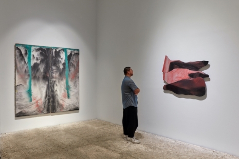 Harminder Judge, Wherever I went, I went when I was sleeping, Sean Kelly