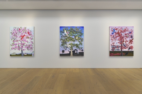 Nikki Maloof, Aspects of Daily Life, Perrotin