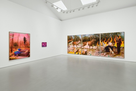 Tursic & Mille, Lavis en Rose, Galerie Max Hetzler