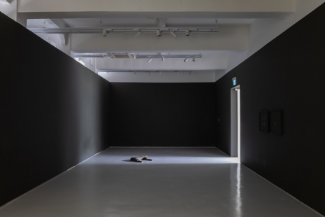 Lai Yu Tong, The Dogs, ShanghART