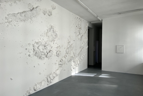 Wolfgang Flad, Phoenix and Entropy, Galerie Elisabeth & Reinhard Hauff