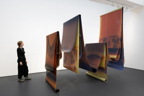 Lotus L. Kang, Borne, Esther Schipper