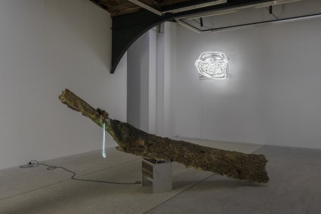 Chloé Delarue, TAFAA - OBSCENE TEARS, galerie frank elbaz