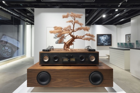 Daniel Arsham, WHAT REMAINS, Perrotin