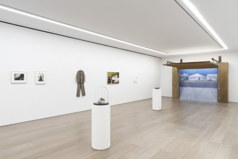 Daniel Arsham, Leonard Baby, Maurizio Cattelan, Julie Curtiss, Wim Delvoye..., A Strange Familiar, Perrotin