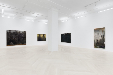 Sydney Cain, The Forest is the Water, Casey Kaplan