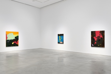 Cassi Namoda, Night Always Returns, 303 Gallery