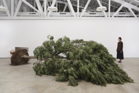 Robert Smithson, Leonor Antunes, Nairy Baghramian, Daniel Boyd, Tony Cragg..., Casting a Glance: Dancing with Smithson, Marian Goodman Gallery